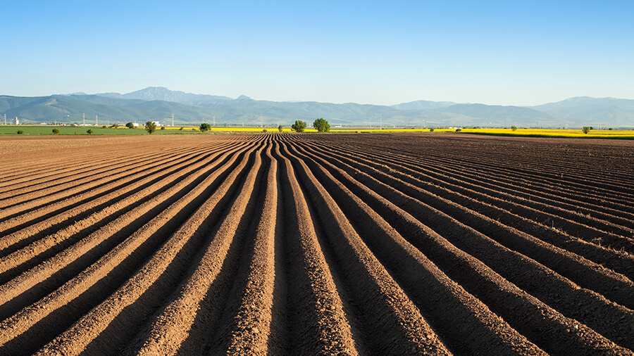 Acheter une exploitation agricole pour culture en France