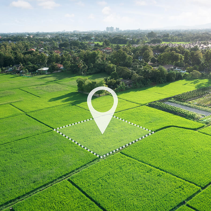 Investir en achetant une terre agricole, une forêt ou un étang en France