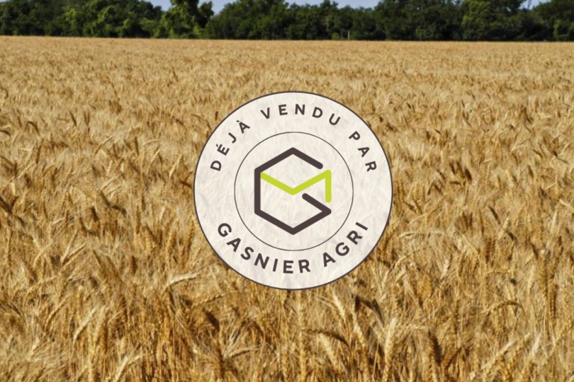 Exploitation cultures Vendée (85) Gasnier Agri